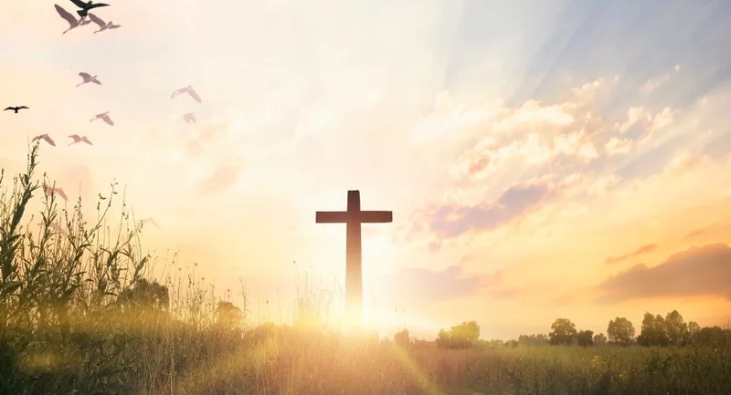 Cross-Border What? Global Impact and Why You Should Care